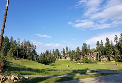 Predator Ridge golf homes for sale