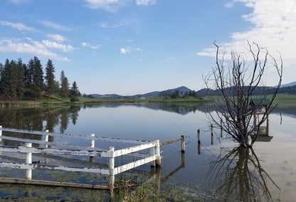 Robert Lake wetlands in Glenmore, BC