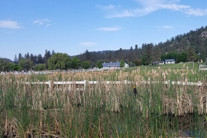 Glenmore Homes For Sale Glenmore Kelowna Real Estate, BC